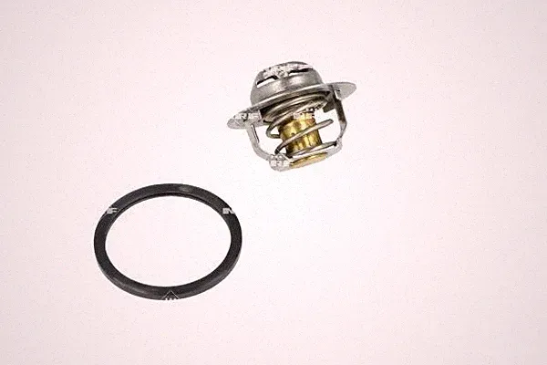 Thermostat, Kühlmittel NRF 725435 für OE 8200772985 - 2120000QAA - 04408334
